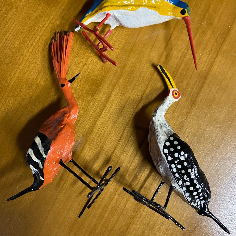 Unique Birds - Picture 3 of 3